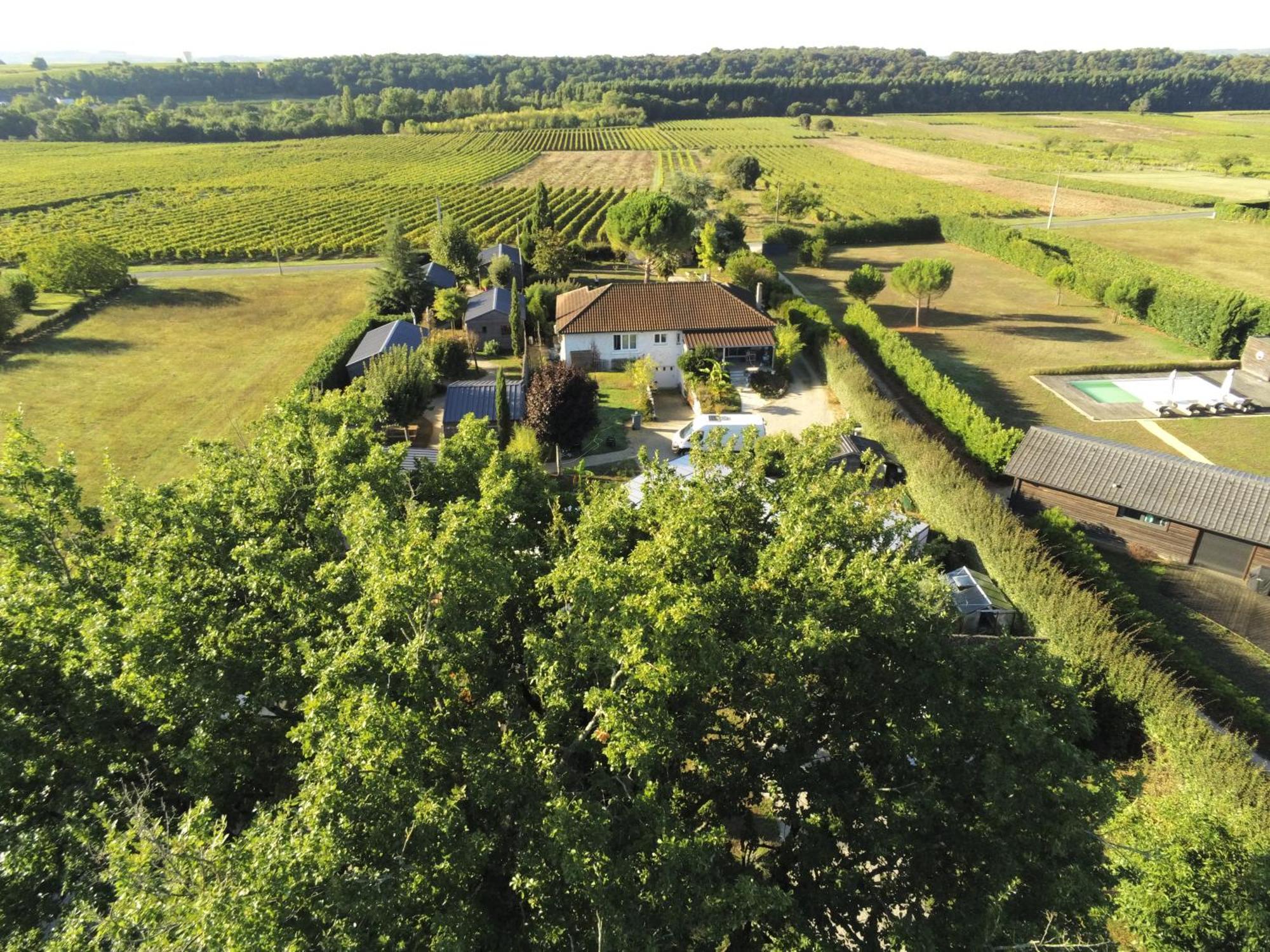Villa Les Pilotis Du Cognac Bourg-Charente Exterior foto